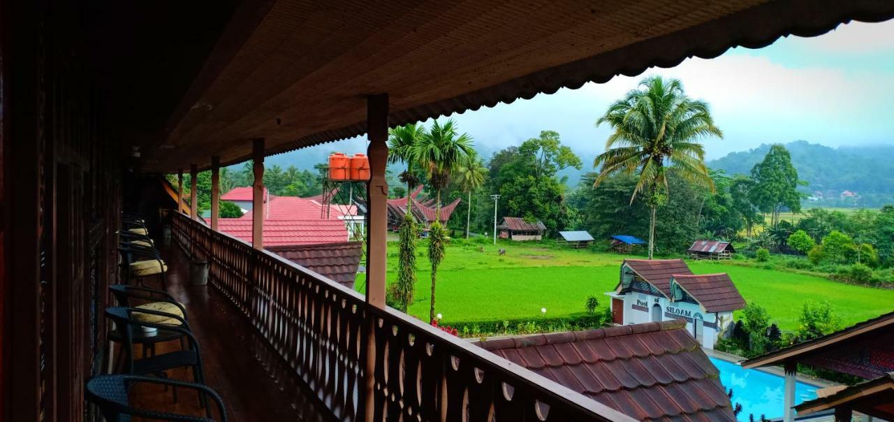 Toraja Torsina Hotel Rantepao Exteriör bild