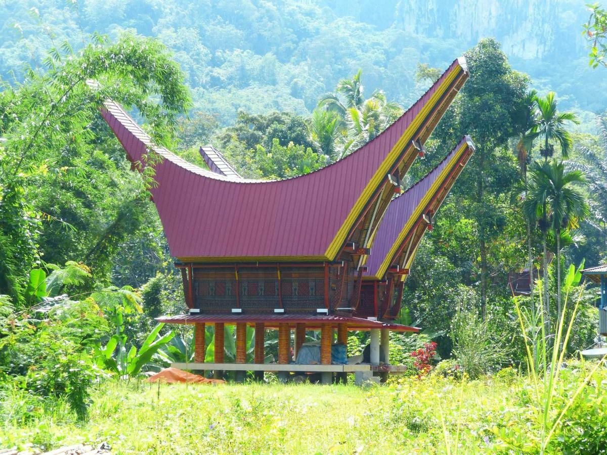 Toraja Torsina Hotel Rantepao Exteriör bild