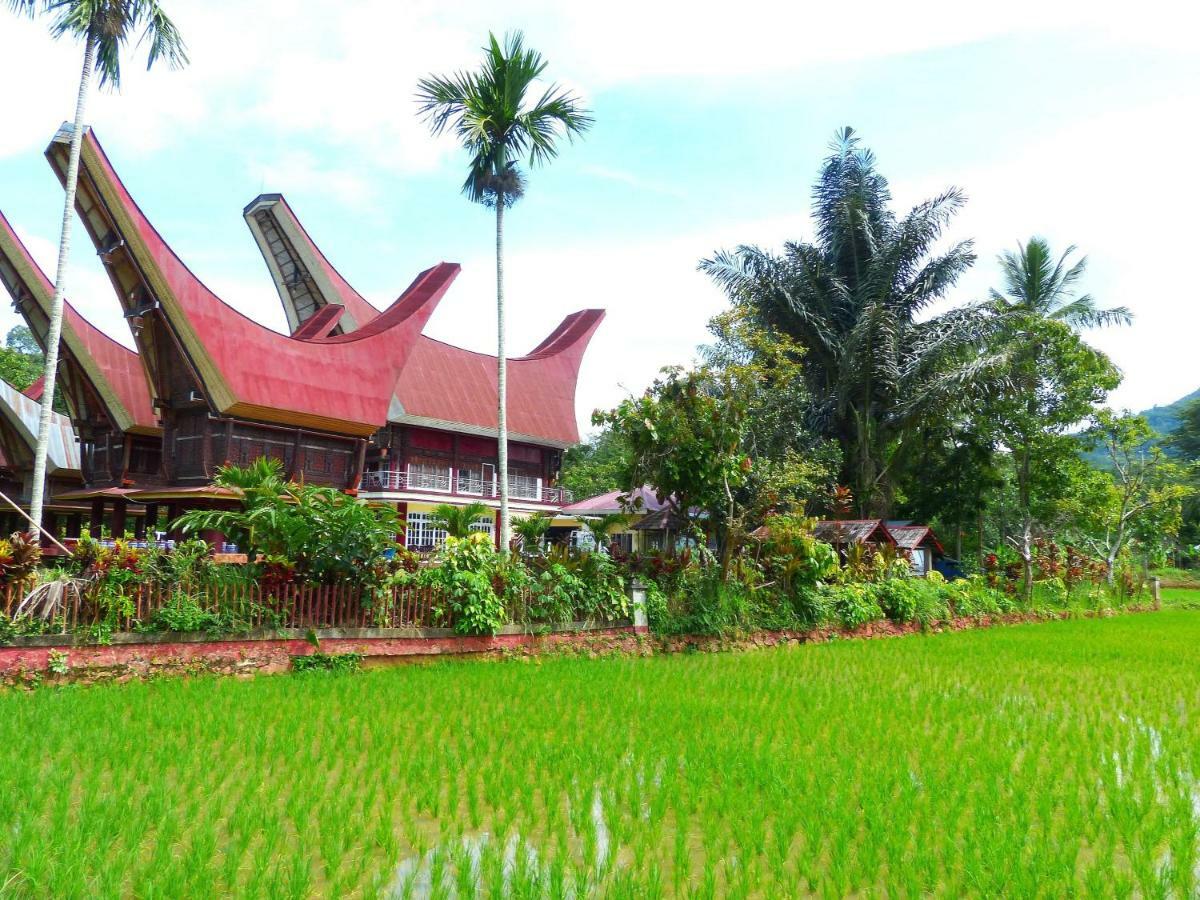 Toraja Torsina Hotel Rantepao Exteriör bild